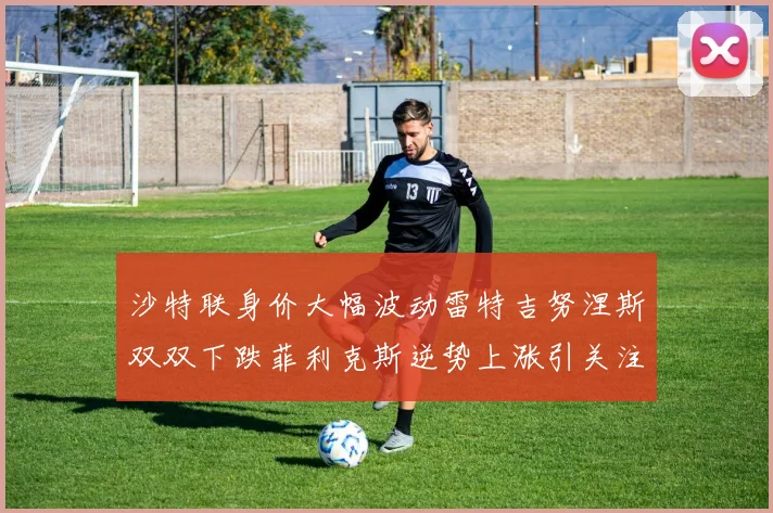 沙特联身价大幅波动雷特吉努涅斯双双下跌菲利克斯逆势上涨引关注