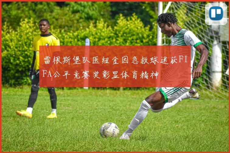 雷根斯堡队医纽金因急救球迷获FIFA公平竞赛奖彰显体育精神